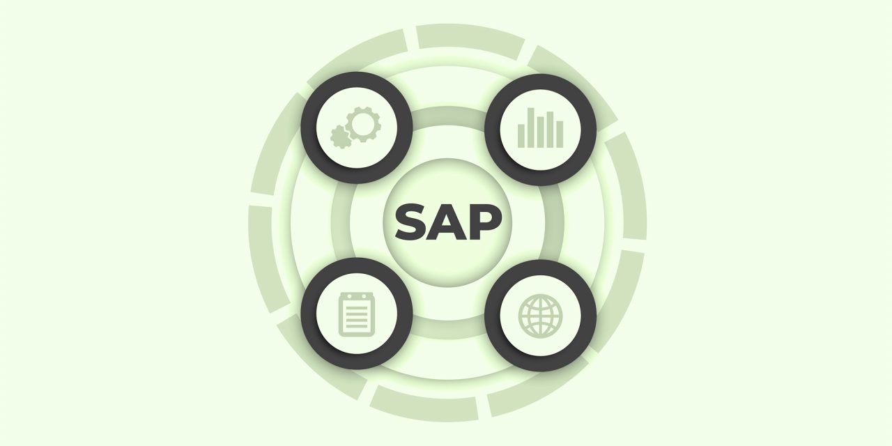 SAP ERP dla NAPRAWDĘ początkujących – część 1